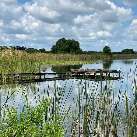 The Scandinavian Contemporary Blauw Lake Alfred Dış mekan fotoğraf